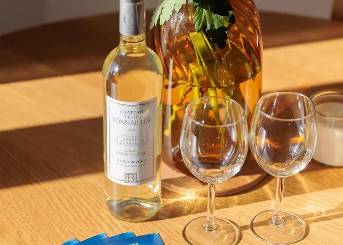 Jasmin Climatise Proche Lavandou Apartment